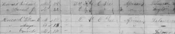 1881 census entry for the Howard family of Sidney.