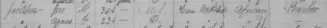 1881 Census For Jackson Family.